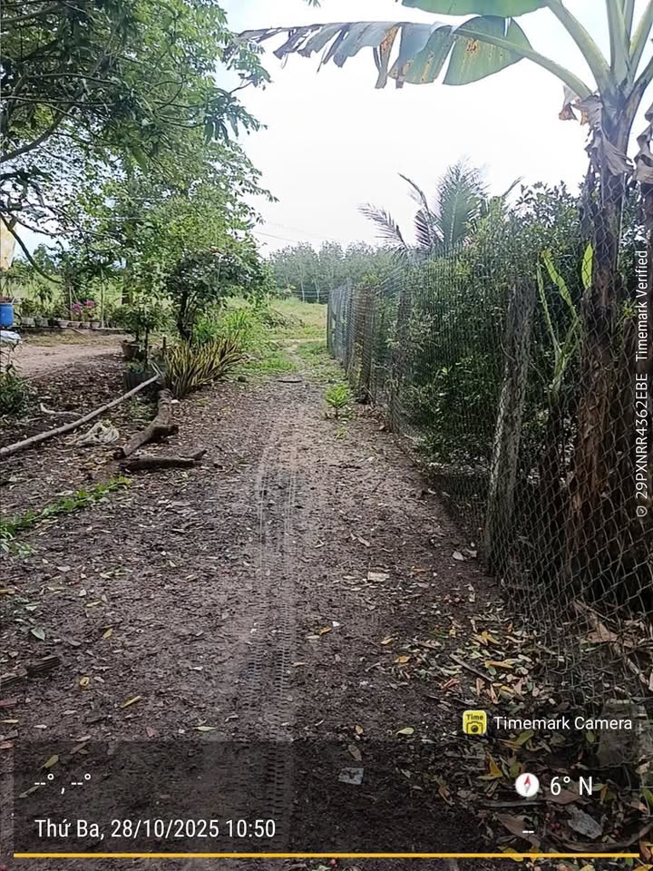 Đất nền 8000m² phường Long Hoa, Tây Ninh - Giá chỉ 2.88 tỷ, cơ hội đầu tư tuyệt vời!