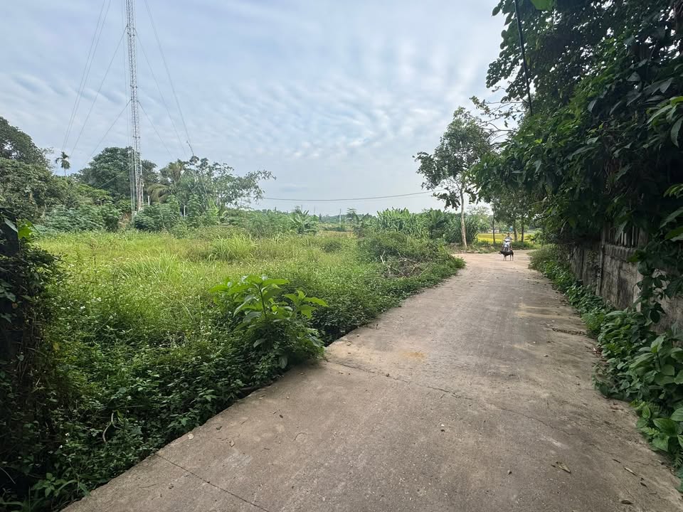 Đất thổ cư Tân Kim 200m² giá 500 triệu - Cơ hội đầu tư tuyệt vời!