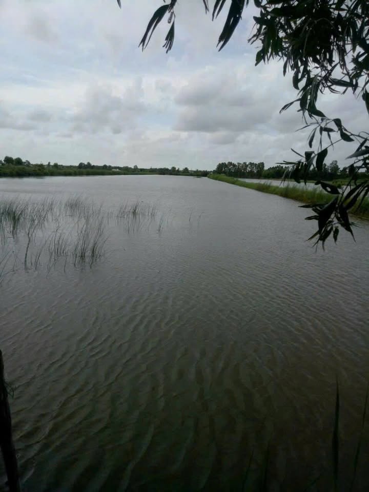 Đất thổ cư 70,000m² tại Khánh Hòa, U Minh, Cà Mau - Giá chỉ 630 triệu!