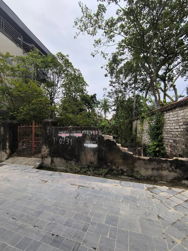 Đất thổ cư xóm Tân Cộng, Đông Tân 120m² giá 1 tỷ - Đường ô tô thông thoáng!