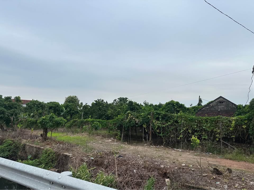 Kho xưởng cho thuê 3000m² tại Tân Tiến, Văn Giang - Giá chỉ 36 triệu/tháng!