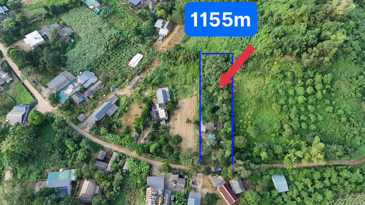 Đất nền Trang Giữa, Hợp Phong, 1155m² chỉ 1 tỷ - Đầu tư sinh lời ngay!