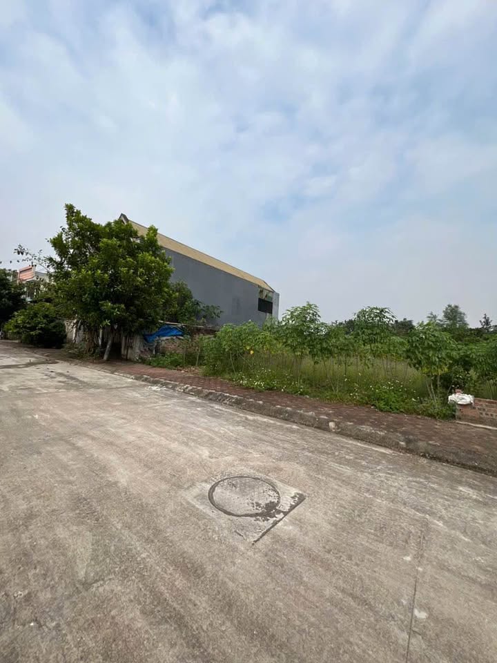 Đất thổ cư Khu Hóc Vỡ, Việt Trì 300m² giá 2 tỷ - Tiềm năng đầu tư sinh lời cao!