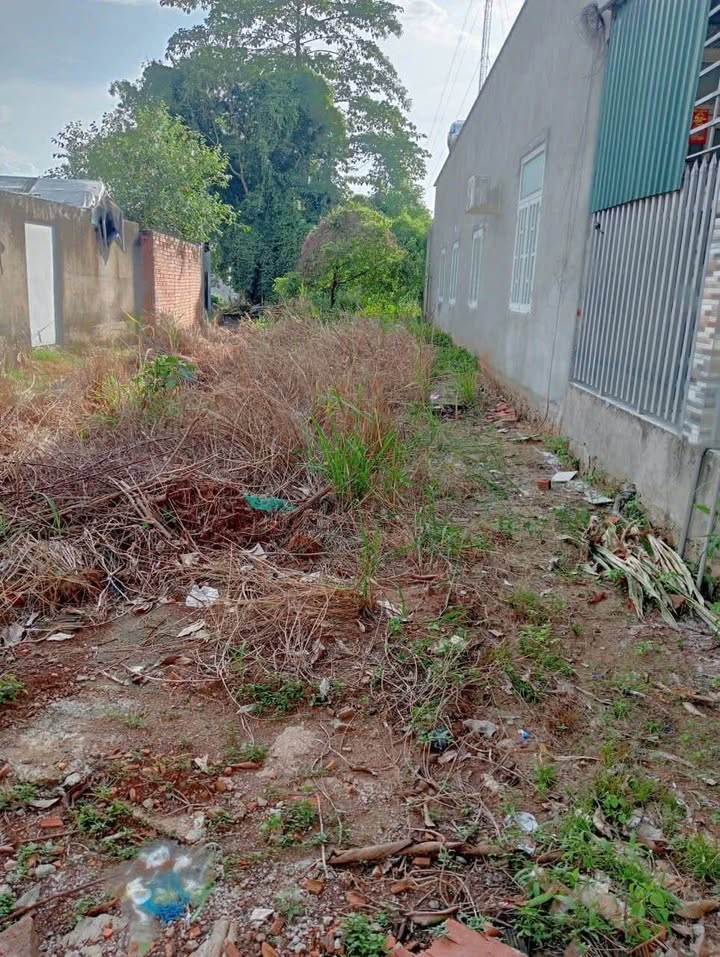 Đất nền xã Phú Vinh, Định Quán 140m² giá 920 triệu - Cơ hội đầu tư tốt!