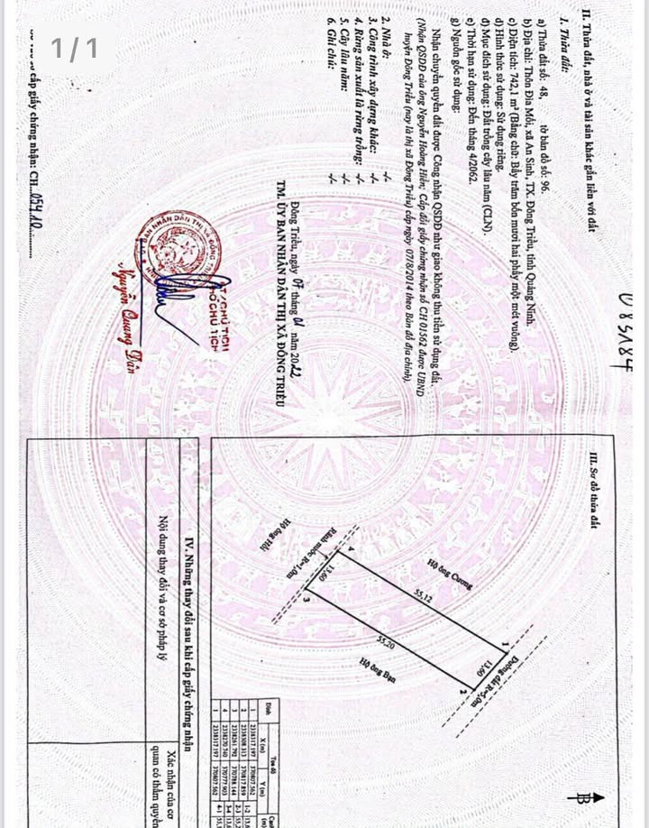 Đất CLN 11.000m² tại An Sinh, Đông Triều - Giá chỉ 3 tỷ