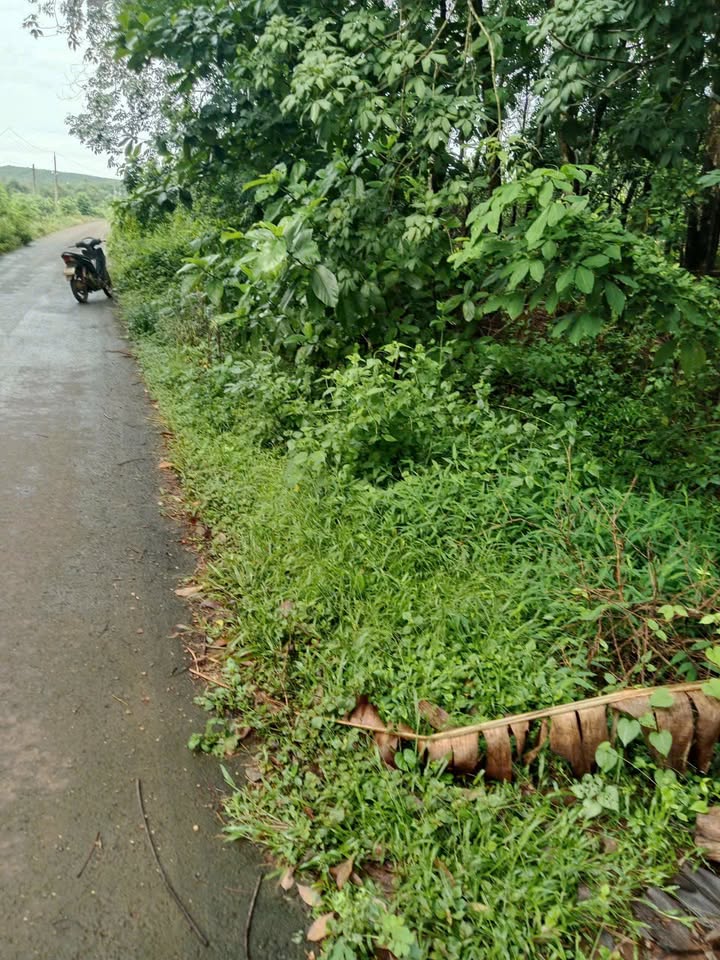 Đất thổ cư 400m² Lộc Hòa, Bình Phước giá 1.1 tỷ - Cơ hội đầu tư sinh lời!