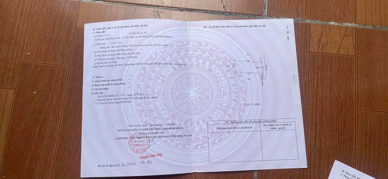 Đất Tân Hòa Đồng Phú 3600m² giá 530 triệu - Cơ hội đầu tư tuyệt vời!