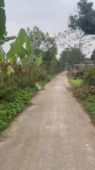 Đất nền Nga Trung 100m² giá 510 triệu - Vị trí gần Quốc lộ 10