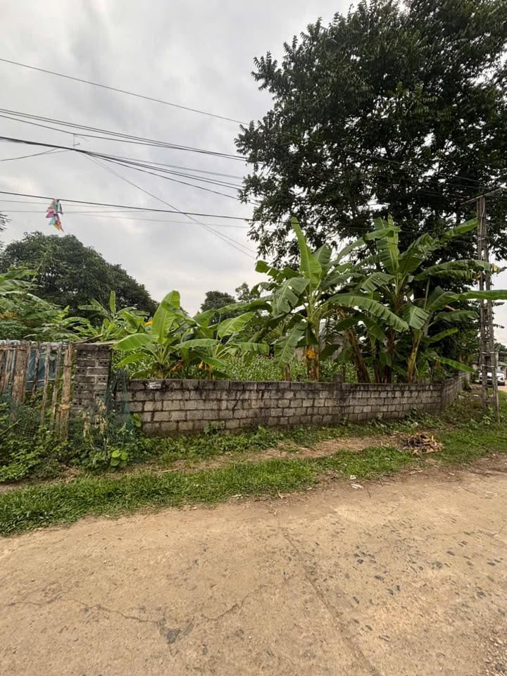 Đất thổ cư 270m² tại Quê Dù, Kim Bôi - Vị trí đẹp, tiềm năng phát triển!