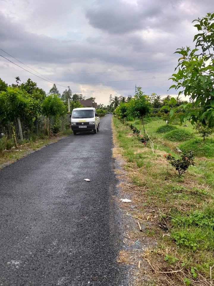 Bán nhà mặt tiền đường nhựa xã Tân Lược 384m² - Vị trí kinh doanh sầm uất!