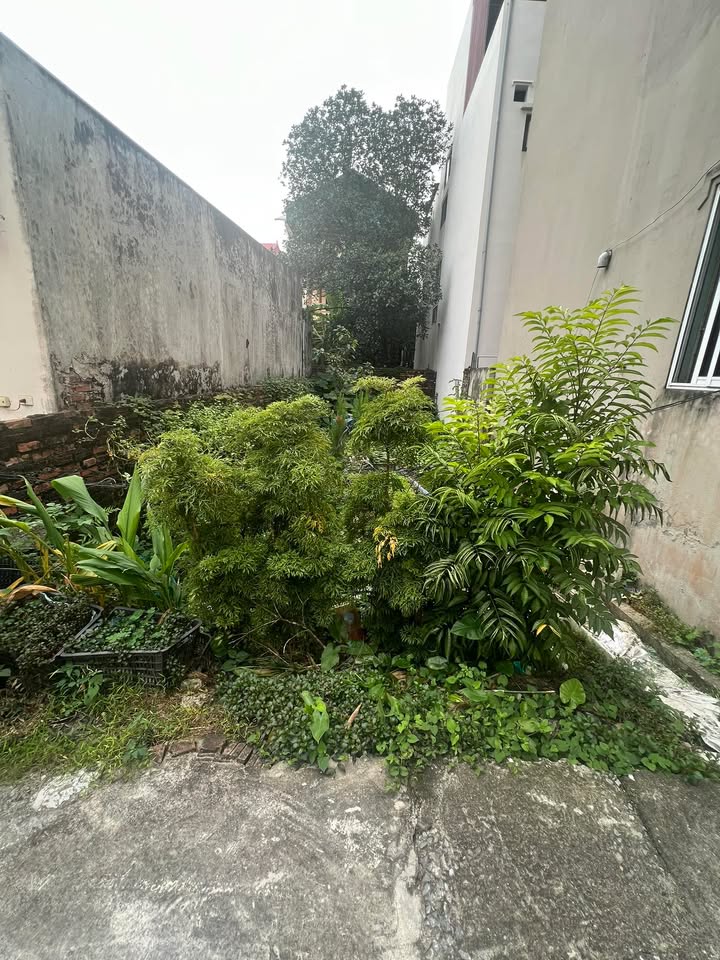 Đất nền Yên Bình, Gia Lâm 76m² giá 3 tỷ - Gần chợ, trường học!