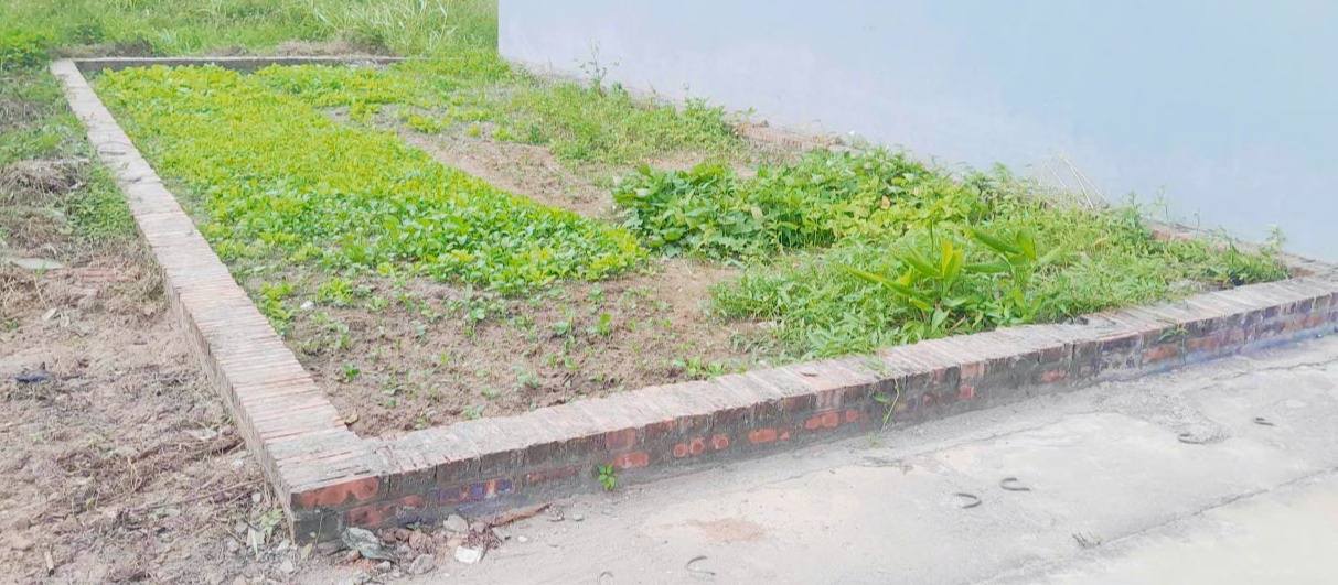 Đất Kim Chung Đông Anh 48m² giá 3 tỷ - Đầu tư sinh lời tuyệt vời!