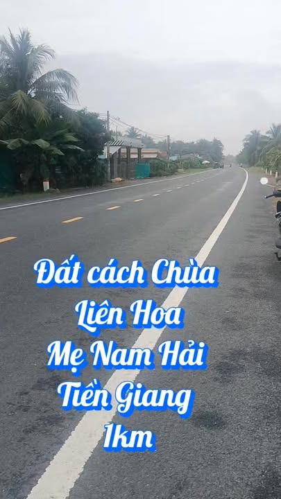 Đất nền mặt tiền đường Tỉnh 864, Bình Ninh, Chợ Gạo - Giá 1.1 tỷ, đầu tư sinh lời ngay!