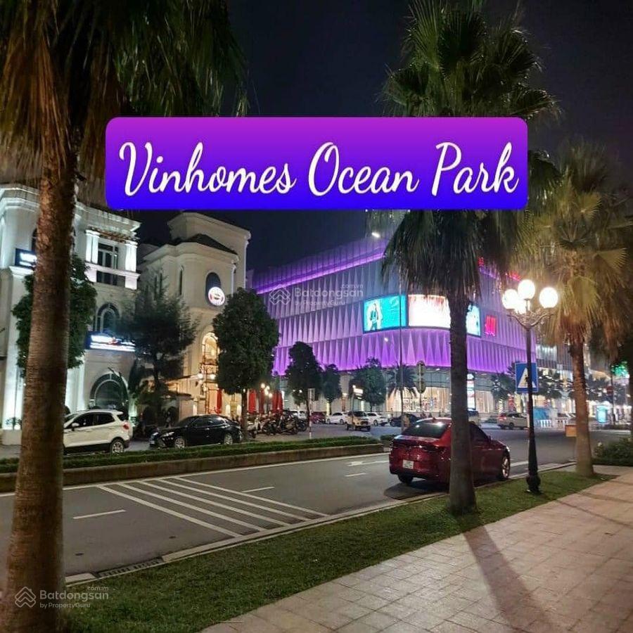 Shophouse cho thuê tại Vinhomes Ocean Park Gia Lâm 150m² giá chỉ 25 triệu - Thích hợp ở và kinh doanh!