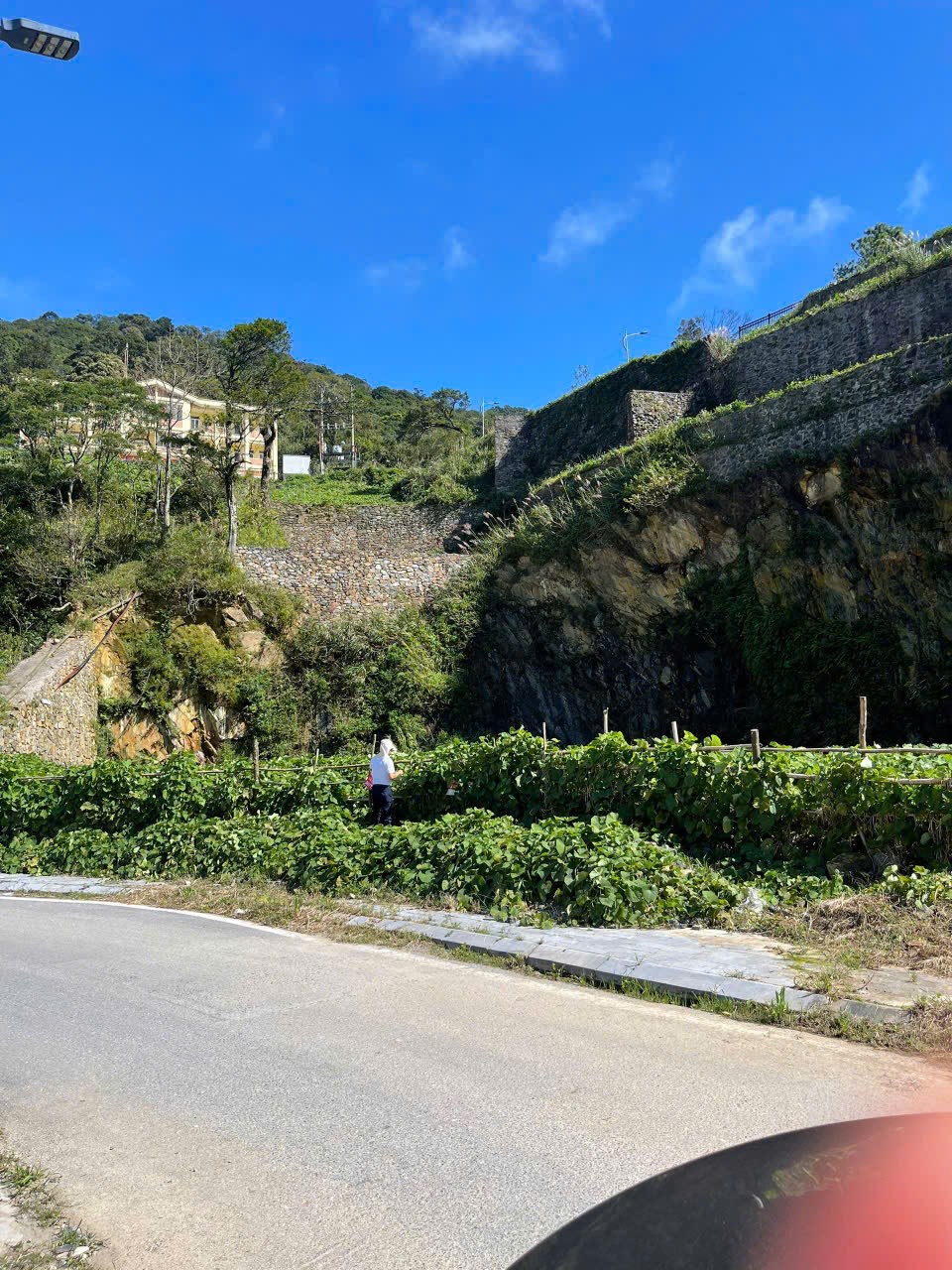 Đất siêu VIP tại TT Tam Đảo, 290m² giá 22 tỷ - Cơ hội đầu tư tuyệt vời!