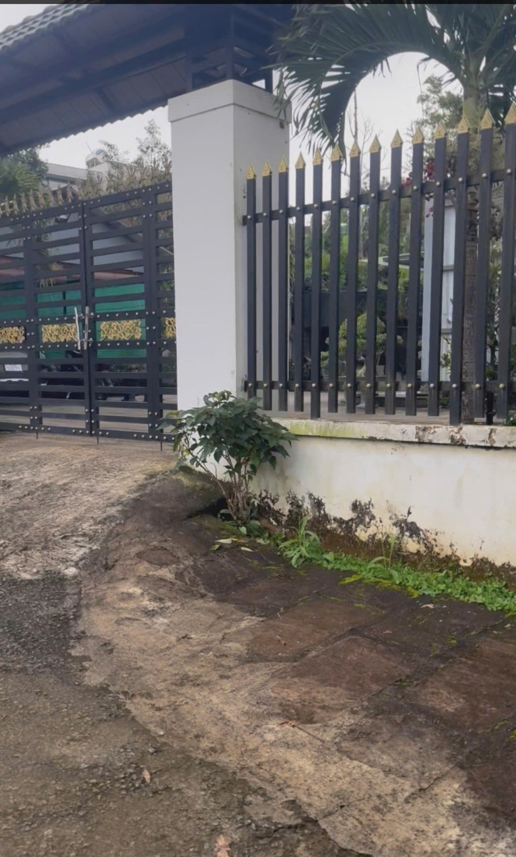 Đất thổ cư 300m² đường Trần Phú, Bảo Lộc 10.000m² - Đầu tư lý tưởng cho resort!