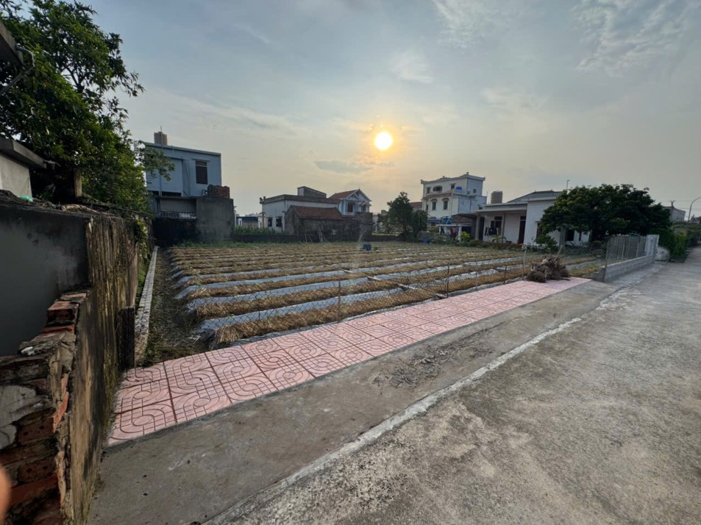 Đất nền Giao Yến 215m² giá chỉ 1.9 tỷ - Cơ hội đầu tư lý tưởng!