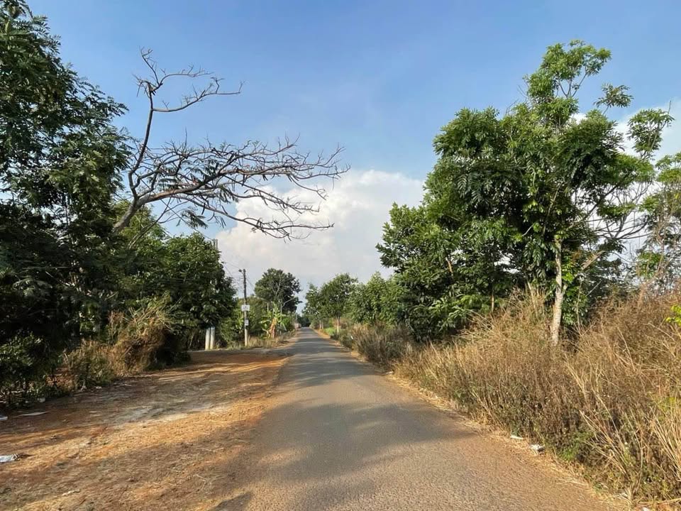 Đất hẻm 146 Âu Cơ, Pleiku 288m² giá 1.3 tỷ - Thích hợp đầu tư ngay!