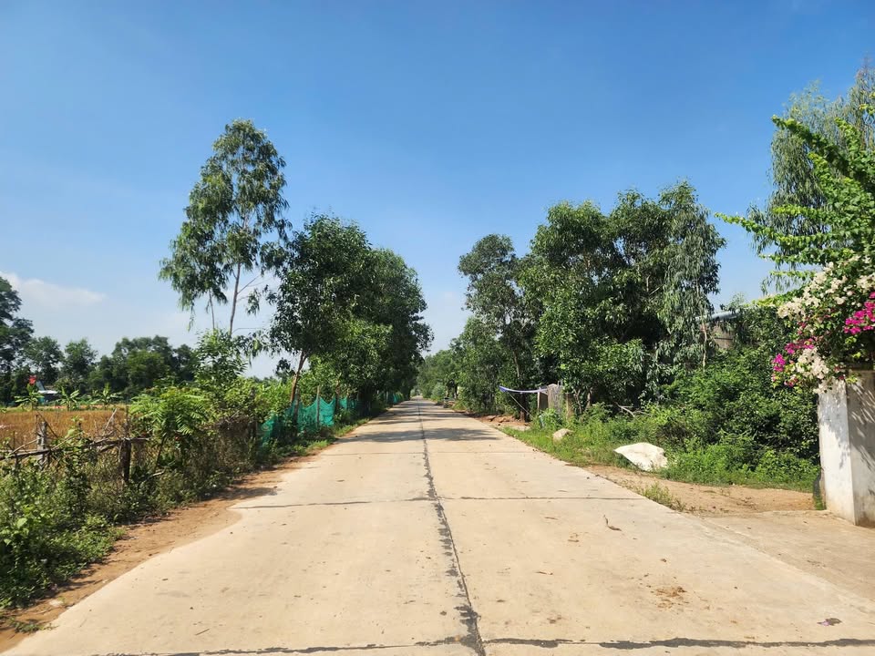 Đất nền chính chủ tại thôn Chánh Liêm, Cát Tường, Phù Cát 140m² - Sổ đỏ chính chủ