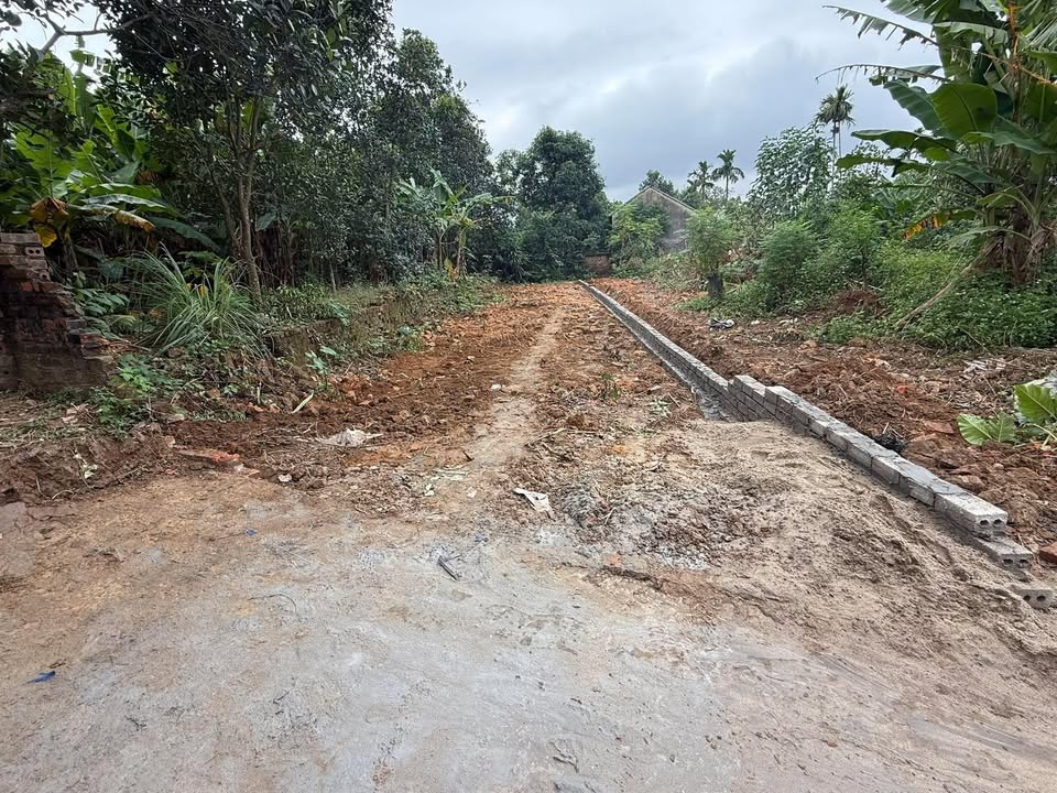 Đất nền Yên Dũng 154m² giá 800 triệu - Vị trí tiềm năng hiếm có!