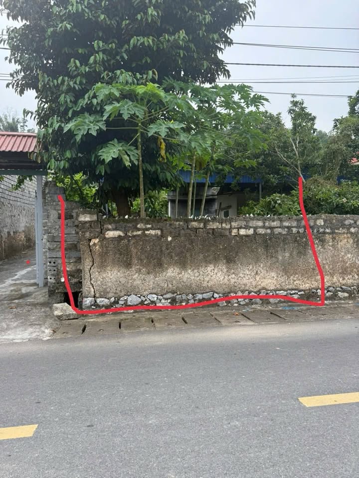 Đất nền Việt Khê Thủy Nguyên 80m² giá 1 tỷ - Đầu tư sinh lời ngay!