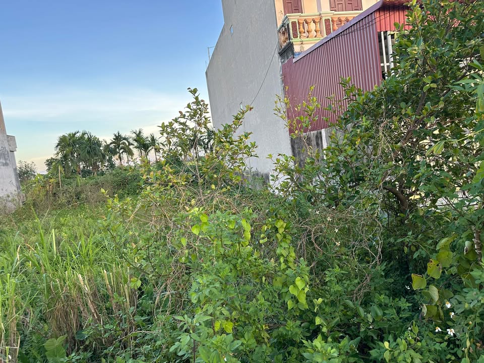 Đất Nam Hùng, Nam Trực 105m² giá 1.2 tỷ - Lô góc 2 mặt tiền đẹp