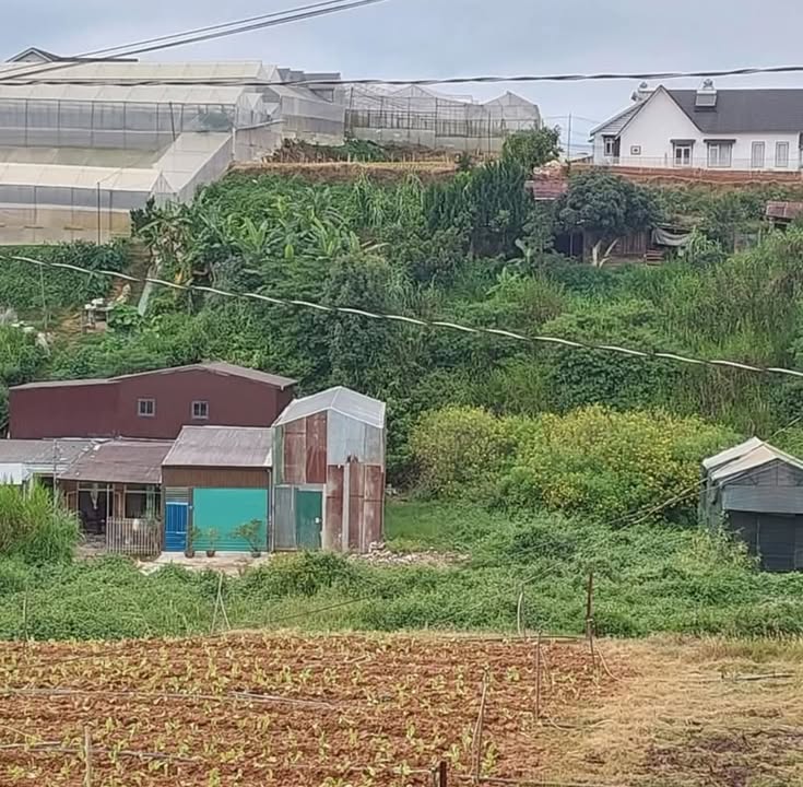 Bán lô đất đường Dankia, phường Langbiang, Đà Lạt 84m² - Sổ đỏ chính chủ!