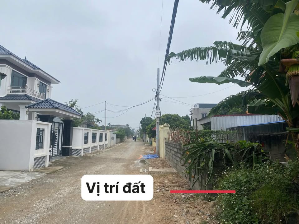 Đất mặt tiền đường nhựa Tân Viên 112.5m² giá 1.2 tỷ - Cơ hội đầu tư tuyệt vời!