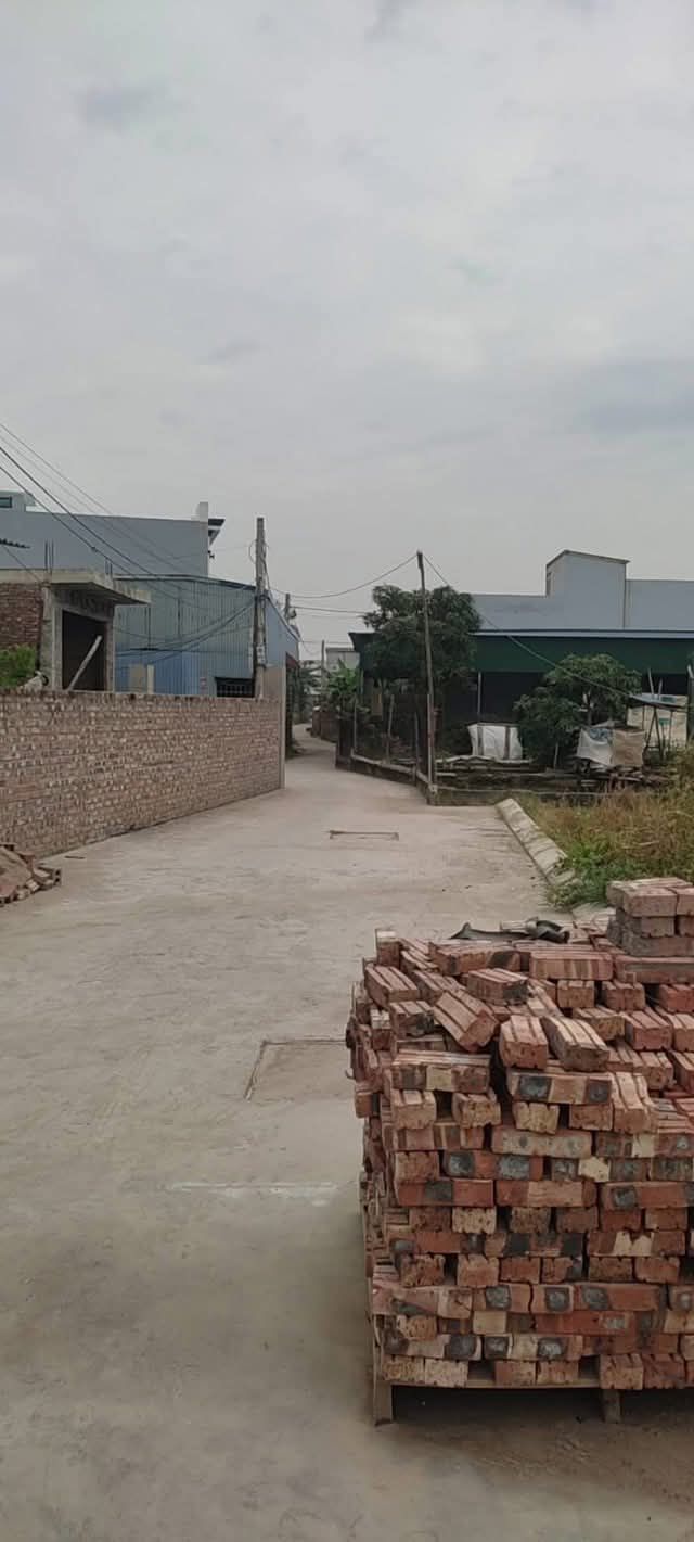 Đất thổ cư Thái Sơn, An Lão 90m² - Giá đầu tư hấp dẫn chỉ vài trăm triệu!