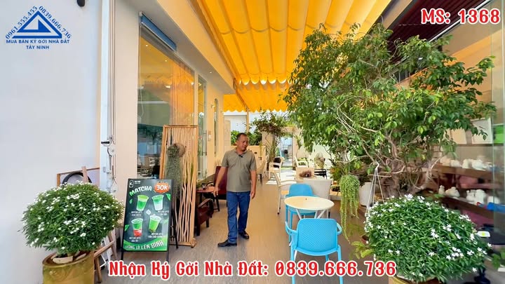 Nhà cấp 4 chính chủ Hòa Thành 385.6m² giá 5.5 tỷ - Cần bán gấp!