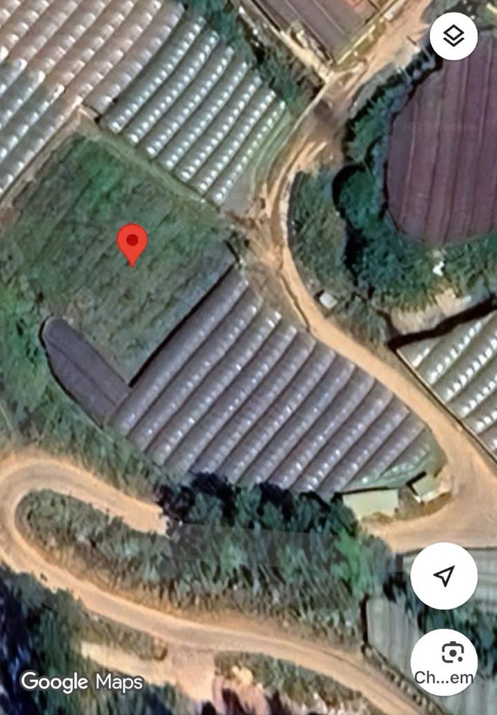 Đất nền 1250m² đường Tự Tạo, Đà Lạt - Giá chỉ 4.375 tỷ, đầu tư sinh lời!