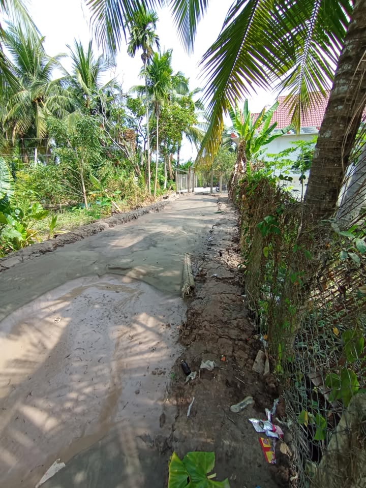 Đất thổ cư 300m² tại xã An Hiệp, huyện Châu Thành - Giá chỉ 1.4 tỷ VND!