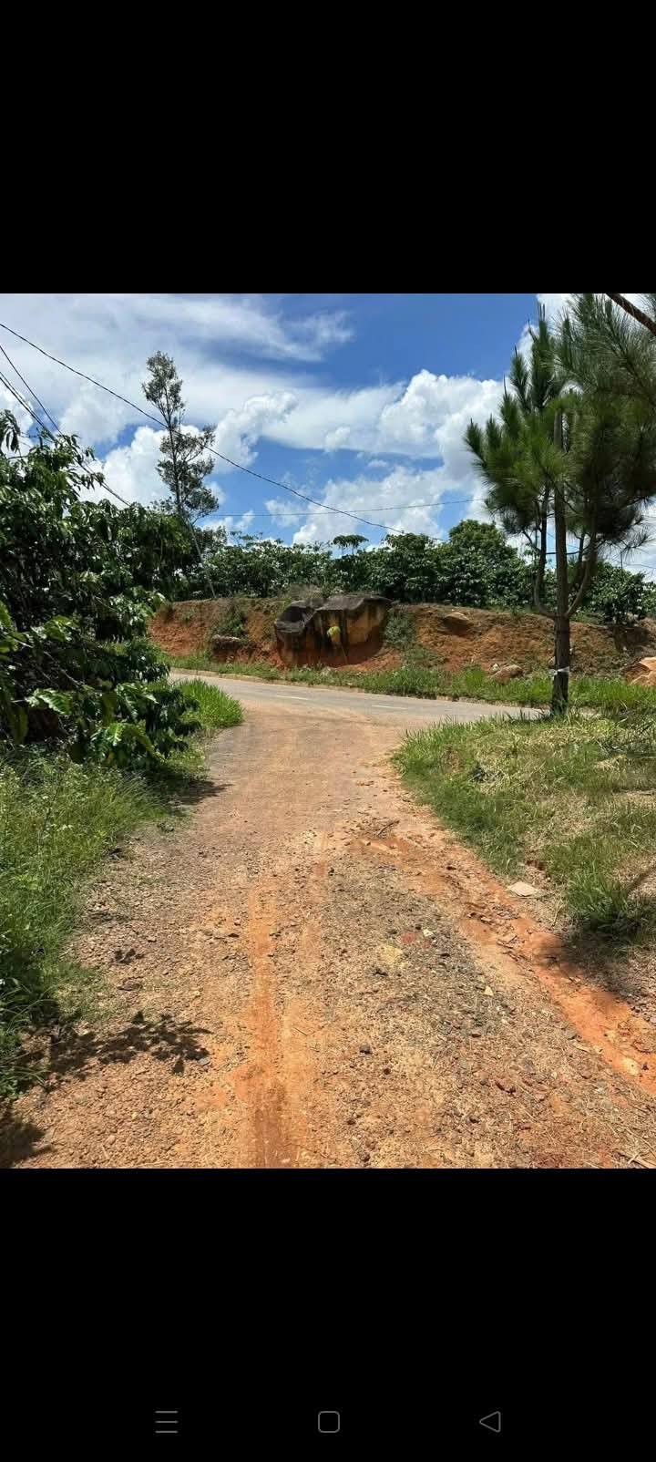 Đất nền 18400m² xã Tân Lâm Di Linh giá chỉ 1.6 tỷ - Đầu tư sinh lời ngay!