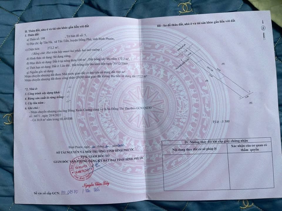 Đất thổ cư mặt tiền đường bê tông Tân Tiến 258m² giá 350 triệu - Cơ hội đầu tư hấp dẫn!