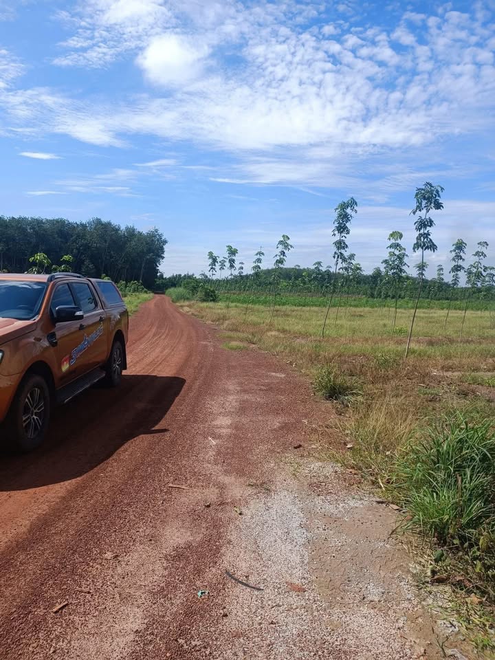 Đất nền 12000m² xã Phước Hòa, Tân Uyên - Tiềm năng đầu tư vượt trội!