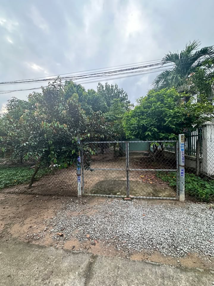 Đất nền đẹp Tân Uyên Bình Dương 100m² giá 2.1 tỷ - Vị trí vàng tiện kinh doanh!