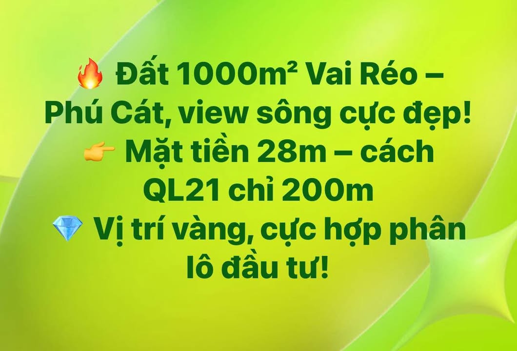 Đất nền Phú Cát, Quốc Oai 1000m² - Vị trí đắc địa, tiềm năng sinh lời!