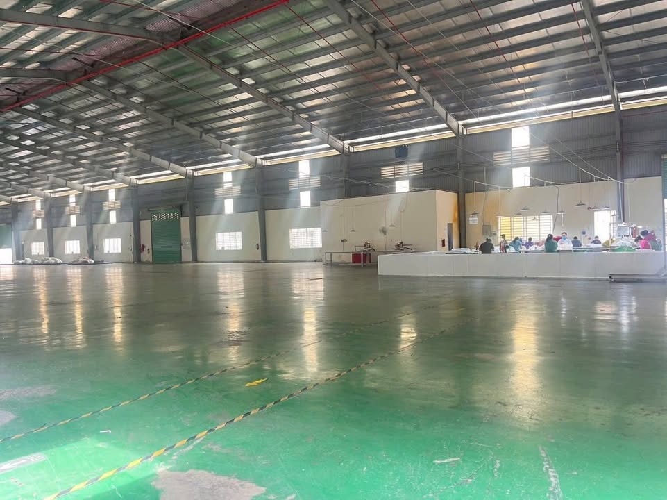 Xưởng bán tại KCN Tân Đô, Đức Hòa Hạ, Long An 20.000m² - Pháp lý rõ ràng, giá tốt!