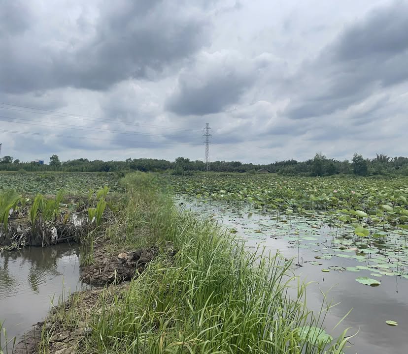 Đất nền hẻm Tam Đa, Long Phước, Quận 9 - 3.500m² giá chỉ 19.25 tỷ, đầu tư sinh lời!