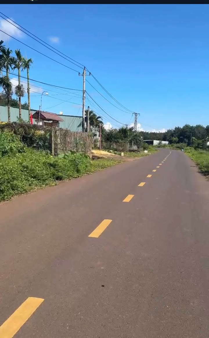 Đất nền mặt tiền đường Thanh Niên, Đức Cơ, Gia Lai - Diện tích 224m², giá thỏa thuận hợp lý!