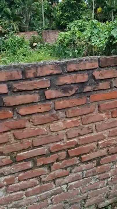 Đất Dương Quang Gia Lâm 65m² giá 2 tỷ - Đường ô tô vào tận đất!