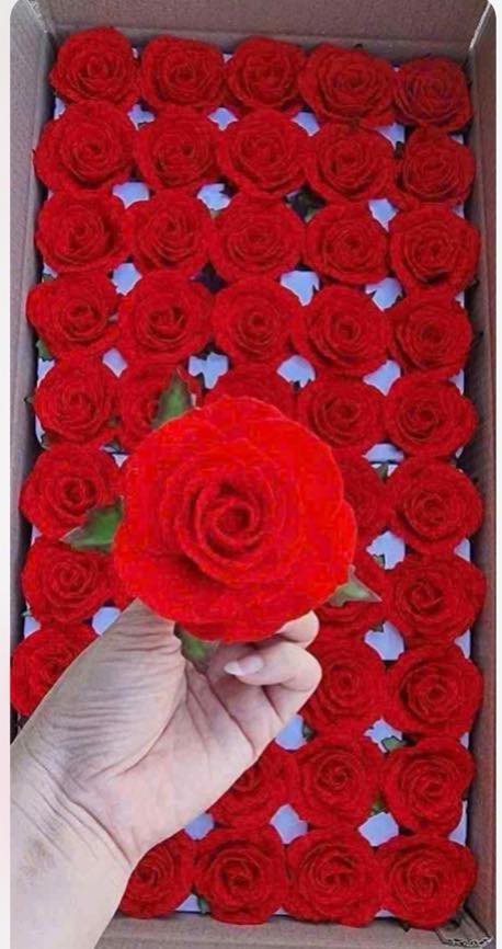 Nhà cấp 4 mặt tiền đường nhựa Thuận Giao 93m² giá 3.3 tỷ - Đầu tư sinh lời ngay!