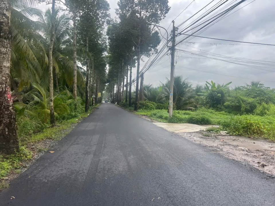 Đất thổ cư 174m² mặt tiền đường Trần Thi Thơm, Mỹ Phong - Giá chỉ 1.75 tỷ!