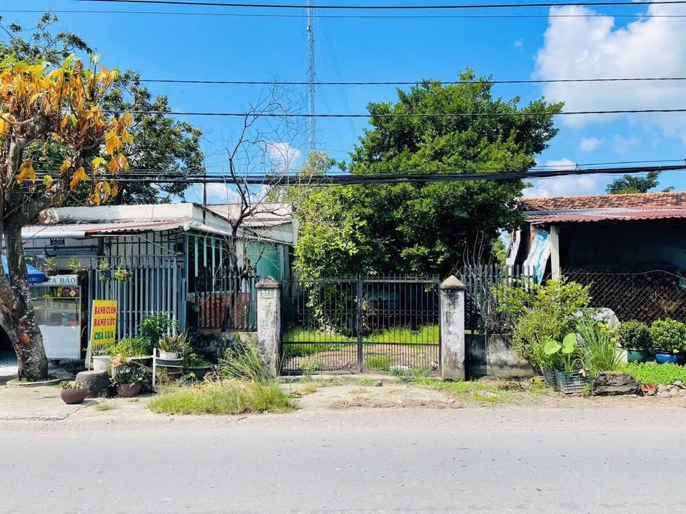 Nhà cấp 4 mặt tiền đường Nguyễn Thị Rành, Củ Chi 1629m² giá 6.5 tỷ - Kinh doanh thuận lợi!