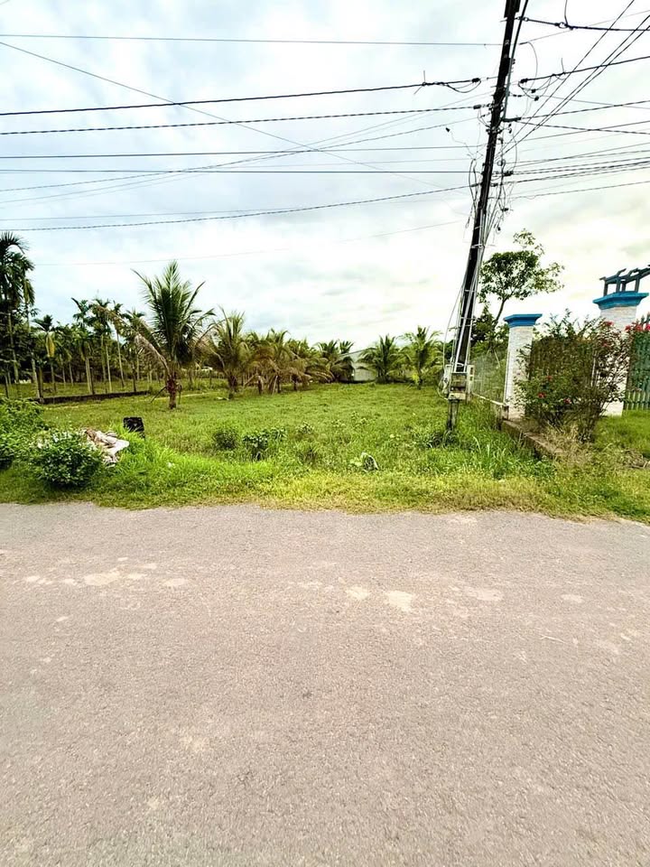 Đất nền Tân Biên, Tây Ninh 250m² giá 450 triệu - Đầu tư sinh lời ngay!