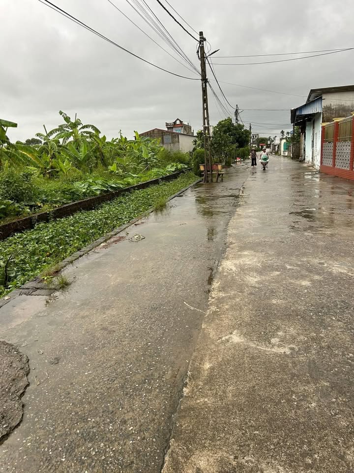 Đất đấu giá Trí An, Nam Hoa, Nam Trực 125m² chỉ 8xx triệu - Cơ hội đầu tư hấp dẫn!