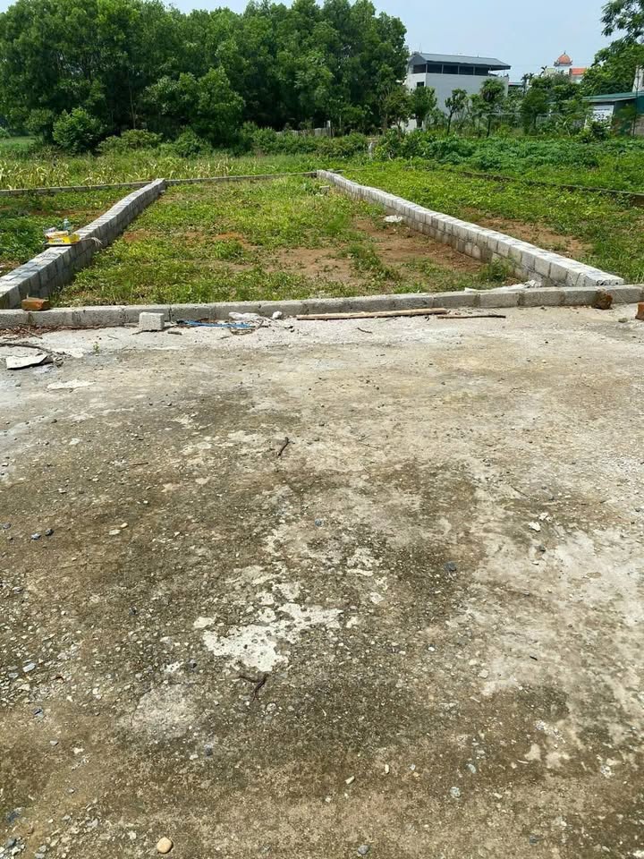 Đất nền Bình Yên Thạch Thất 71m² - Sổ đỏ riêng, đầu tư sinh lời!