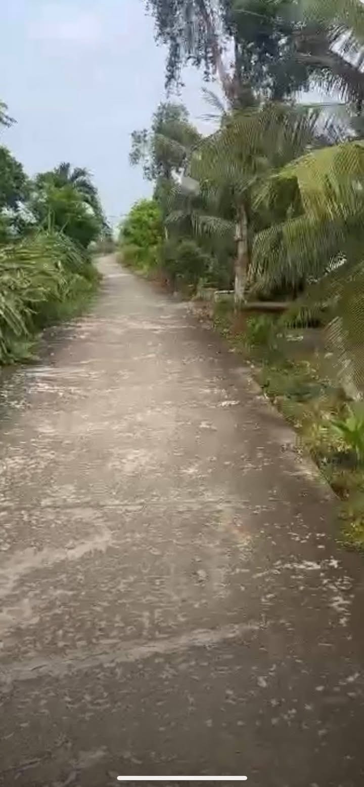 Đất thổ cư 991m² An Lục Long, Châu Thành - Giá 1.8 tỷ, 2 mặt tiền rộng rãi!