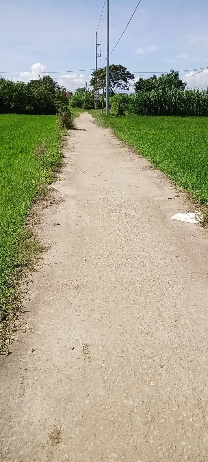 Đất nền Phước Sơn Ninh Phước 2250m² giá chỉ 670 triệu - Pháp lý rõ ràng!