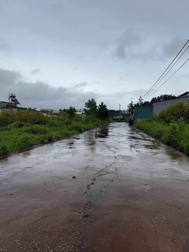 Đất nền lô góc Đạ Ròn, Đơn Dương 240m² giá 1.5 tỷ - Đầu tư sinh lời tiềm năng!